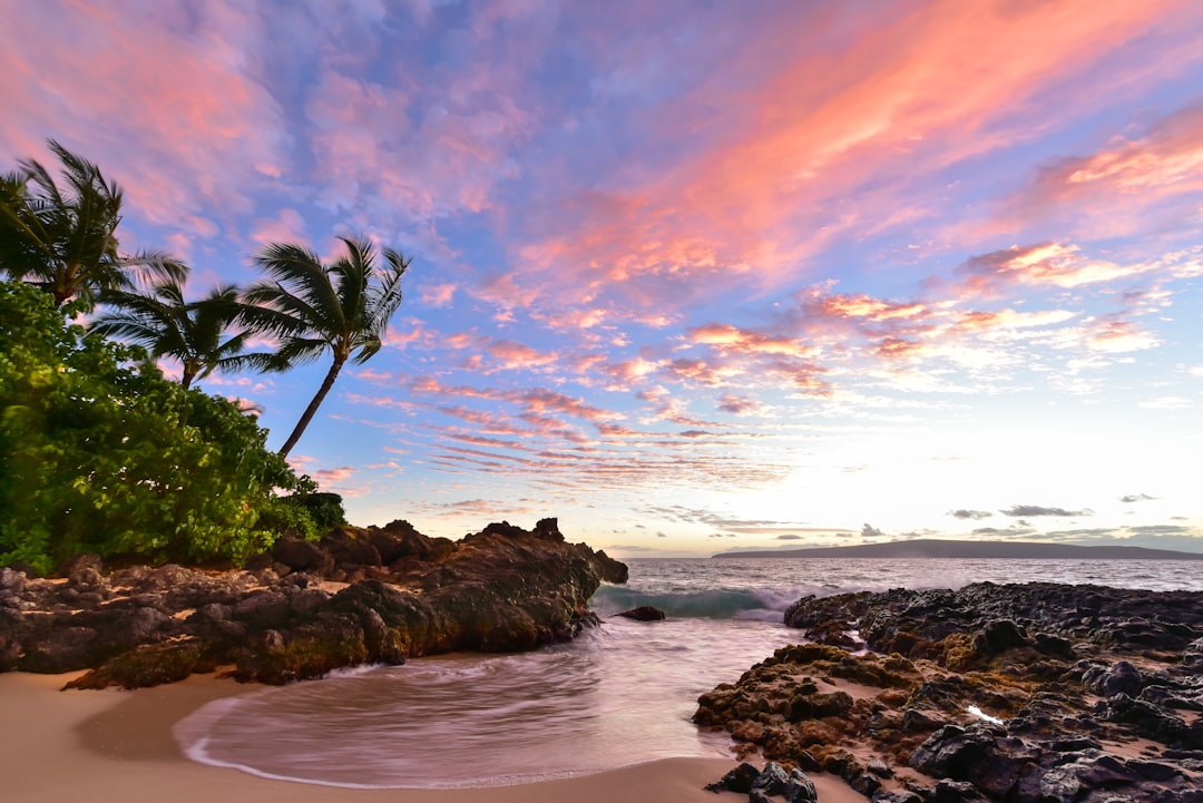 Golden sunset over a turquoise Maui beach lined with palm trees