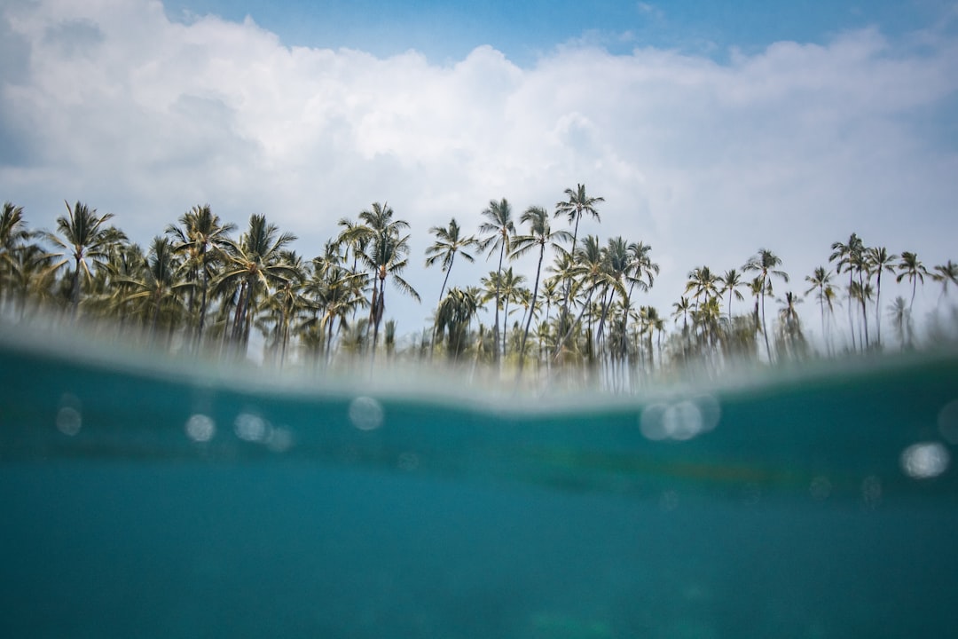 Snorkeler exploring a vibrant coral reef in clear water
